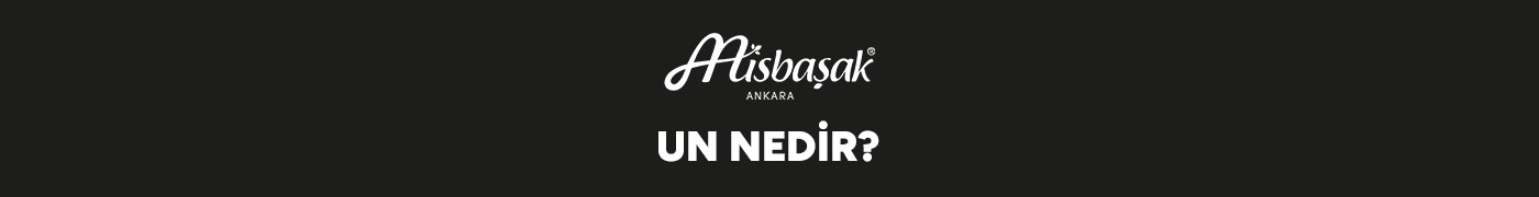 Un Nedir?